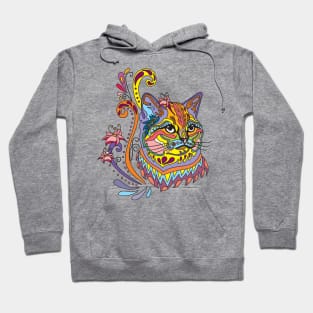 Colorful Ornamental Cat Hoodie